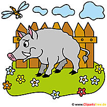 Wildschwein Cartoon Bild kostenlos