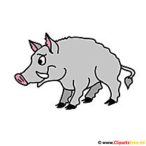 Wildschwein Clipart kostenlos