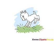 Zicklein Clipart, Bild, Cartoon