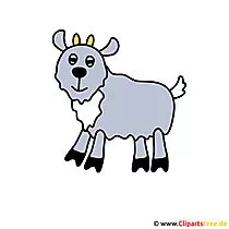 Ziege Bild - Clipart Bauernhof