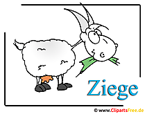 Ziege Clipart-Bild Bauernhof Cliparts free