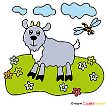 Ziege Clipart Bild gratis