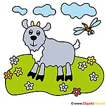 Ziege Clipart Bild gratis