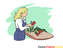 Floristin Ausbildungsberufe Bilder, Cliparts