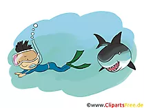 Taucher und Hai Clipart, Comic, Bild, Illustration