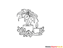 Malvorlage Blume Weihnachtsstern