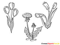Blumen zum Ausmalen kostenlos