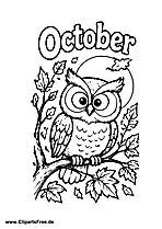October Owl on Branch with Autumn Leaves Coloring Page