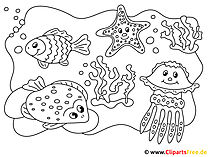 Malbilder Meerestiere