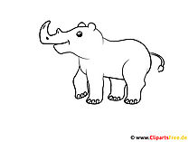 Malvorlage kostenlos Ausdrucken Nashorn