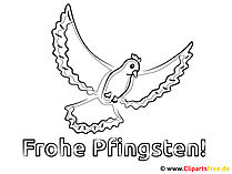 Vogel Bilder zum Ausmalen