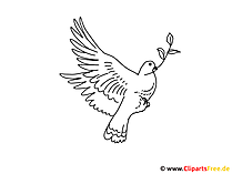 Vogelbilder zum Ausmalen