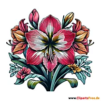Amaryllis Clipart zum Thema Blumen