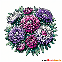 Astern Clipart zum Thema Blumen
