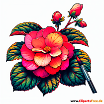 Begonie Clipart zum Thema Blumen