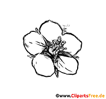 Virág almafa rajz, fekete-fehér kép a munkalapokhoz