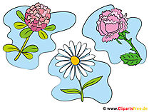 Blumen Clipart