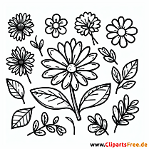 Blume Clipart kostenlos - Bilder gratis herunterladen