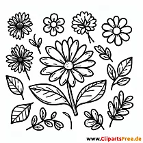 Blume Clipart kostenlos - Bilder gratis herunterladen