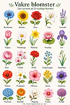 25 Blumen mit Namen – Blumen auf Norwegisch lernen