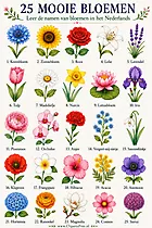 25 wunderschöne Blumen mit Namen – Blumen auf Niederländisch lernen