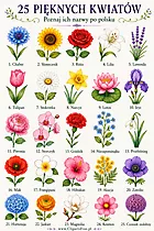25 wunderschöne Blumen mit Namen – Blumen auf Polnisch lernen