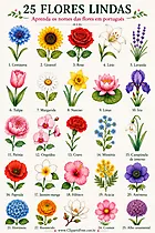 25 wunderschöne Blumen mit Namen – Blumen auf Portugiesisch lernen