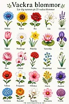 25 wunderschöne Blumen mit Namen – Blumen auf Schwedisch lernen