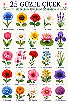 25 wunderschöne Blumen mit Namen – Blumen auf Türkisch lernen