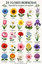 Blumen mit Namen – Blumen auf Spanisch lernen