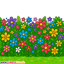 Blumenwiese Bild