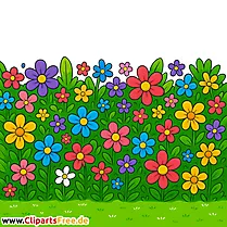 Blumenwiese Bild