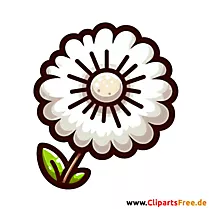 Clipart Löwenzahn - Bilder gratis herunterladen