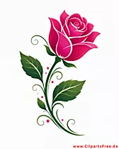 Clipart pinkfarbene Rose mit geschwungenen grünen Blättern