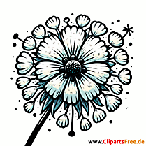 Clipart Pusteblume - Bilder gratis herunterladen