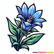 Enzian Clipart - Bilder gratis herunterladen