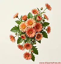 Gerbera Clipart kostenlos