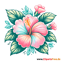 Hibiskus Clipart - Bilder zum Herunterladen