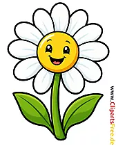 Kamille als Cartoonbild - Kostenlose Cliparts zum Drucken