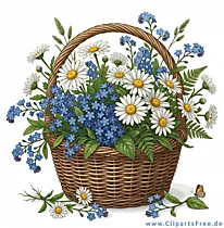 Kamillen in einem Korb Illustration