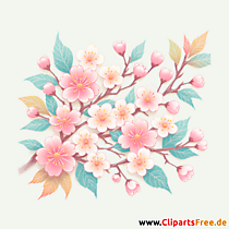 Kirschblüte Clipart - Bilder zum Herunterladen