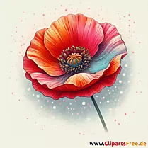 Mohnblume Clipart - Bilder zum Herunterladen