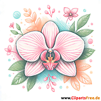 Orchidee Clipart - Bilder zum Herunterladen