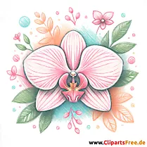 Orchidee Clipart - Bilder zum Herunterladen