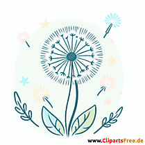 Pusteblume Clipart kostenlos - Bilder zum Herunterladen