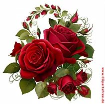 Rote, schöne Rosen auf weissem Hintergrund Clipart