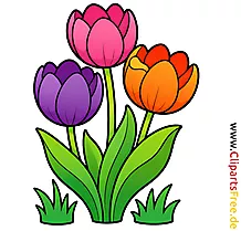 Tulpen Clipart - Schöne Bilder zum Drucken