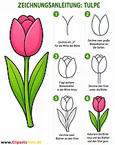 Tulpen zeichnen Anleitung Schritt um Schritt