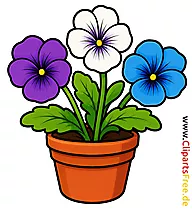 Veilchen im Blumentopf Clipart