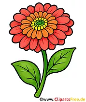 Zinnie Clipart